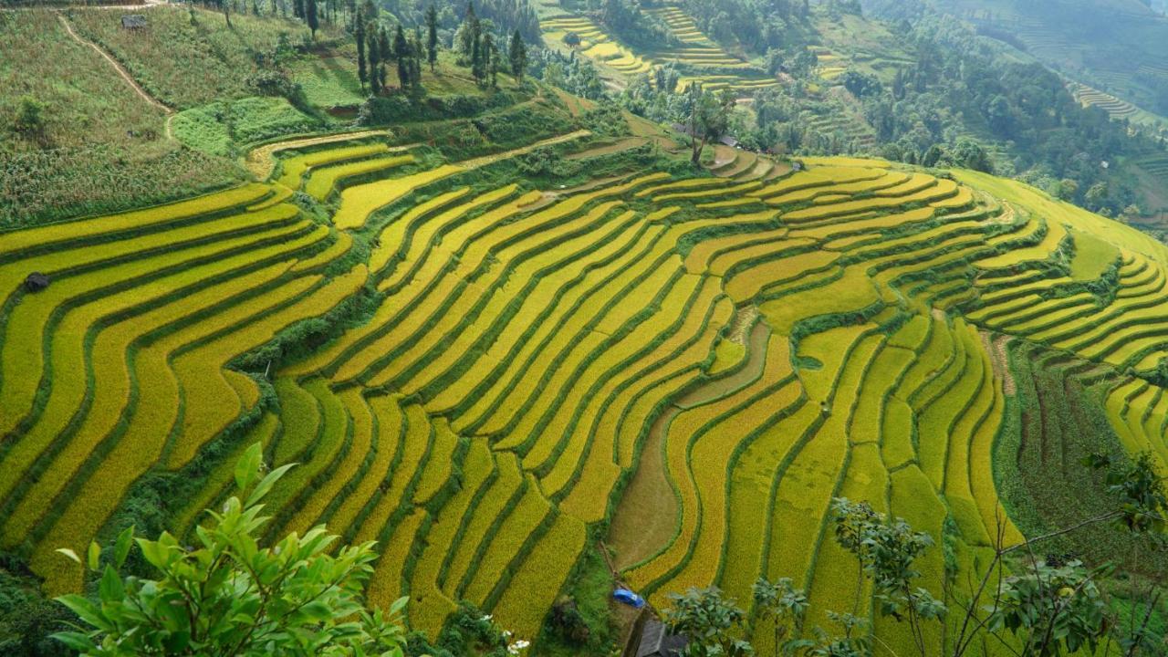 Huy Trung Homestay Bac Ha  Bagian luar foto